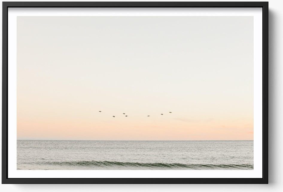 Birds At Dusk