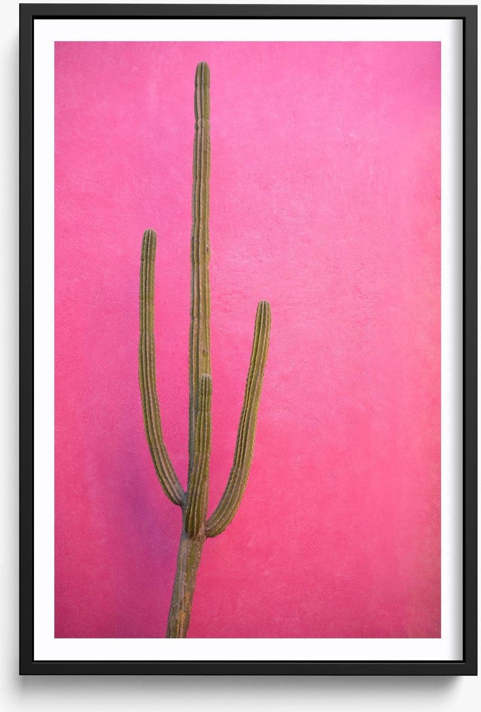 Cactus Pink