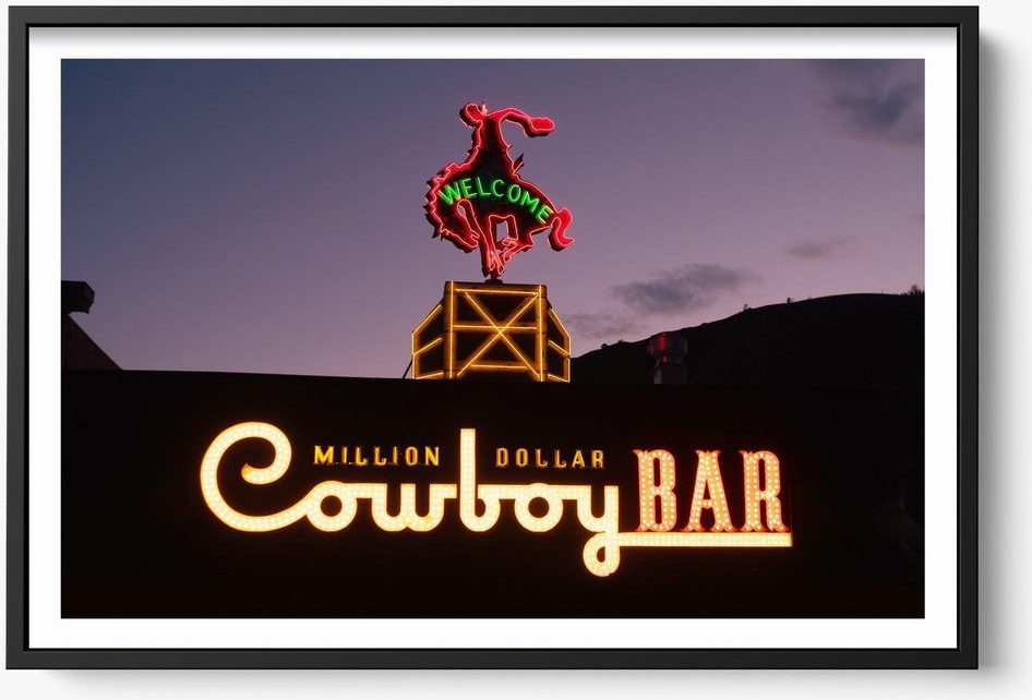 Million Dollar Cowboy