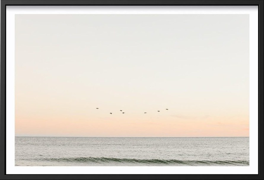 Birds At Dusk