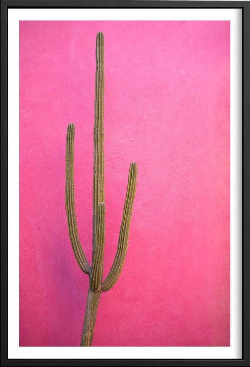 Cactus Pink