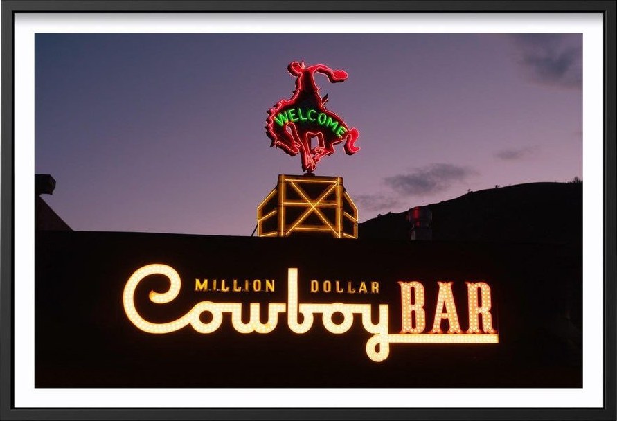 Million Dollar Cowboy