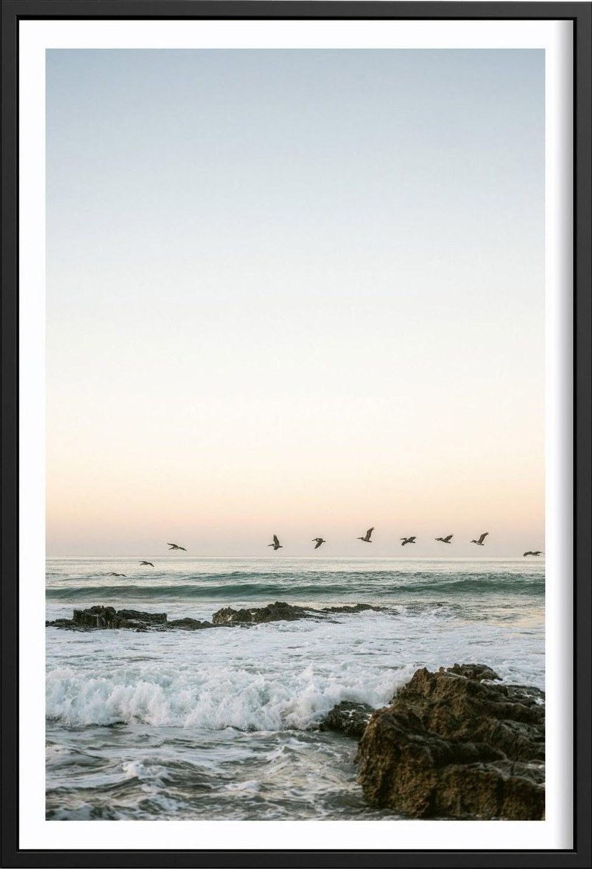 Santa Teresa Mornings